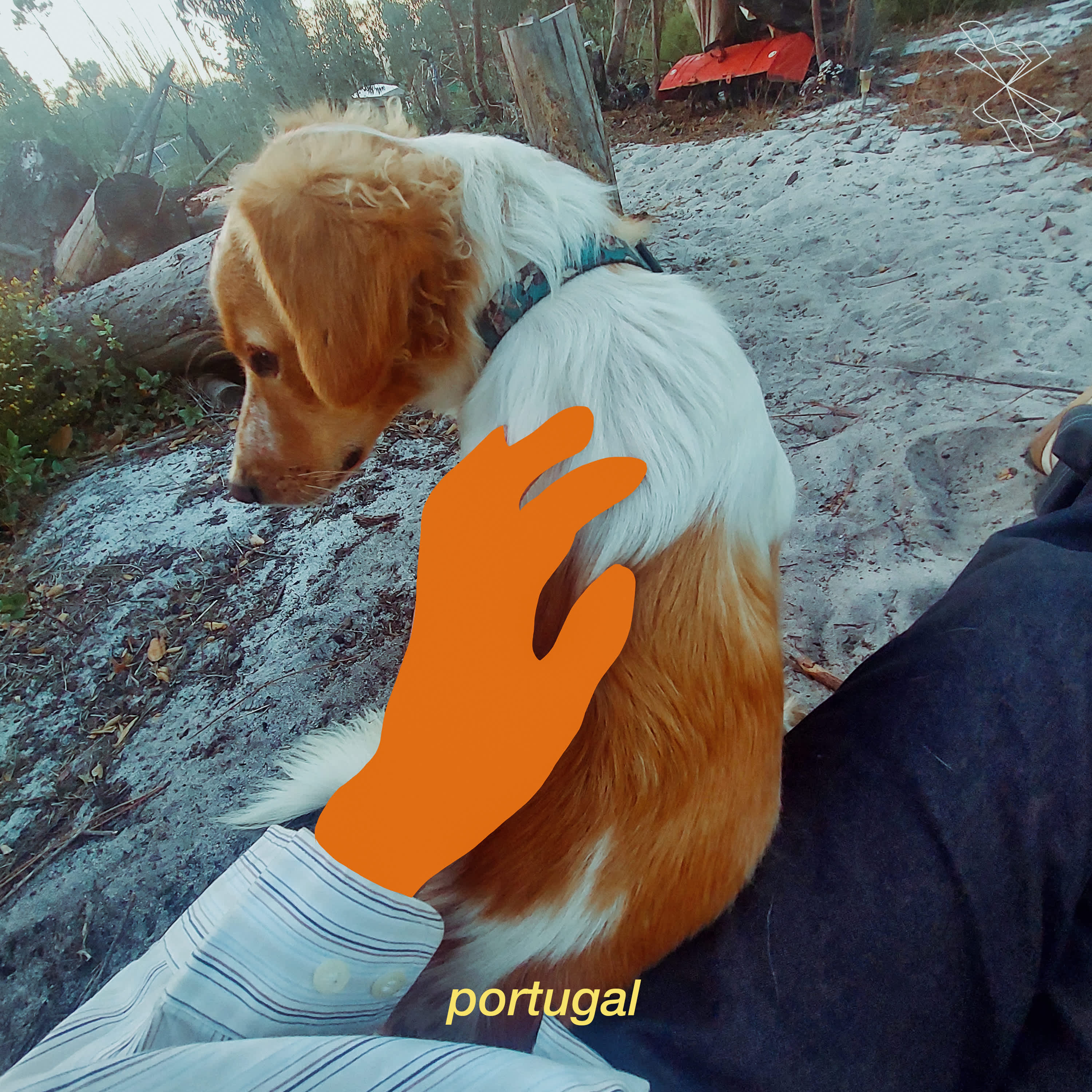 Scene image 5